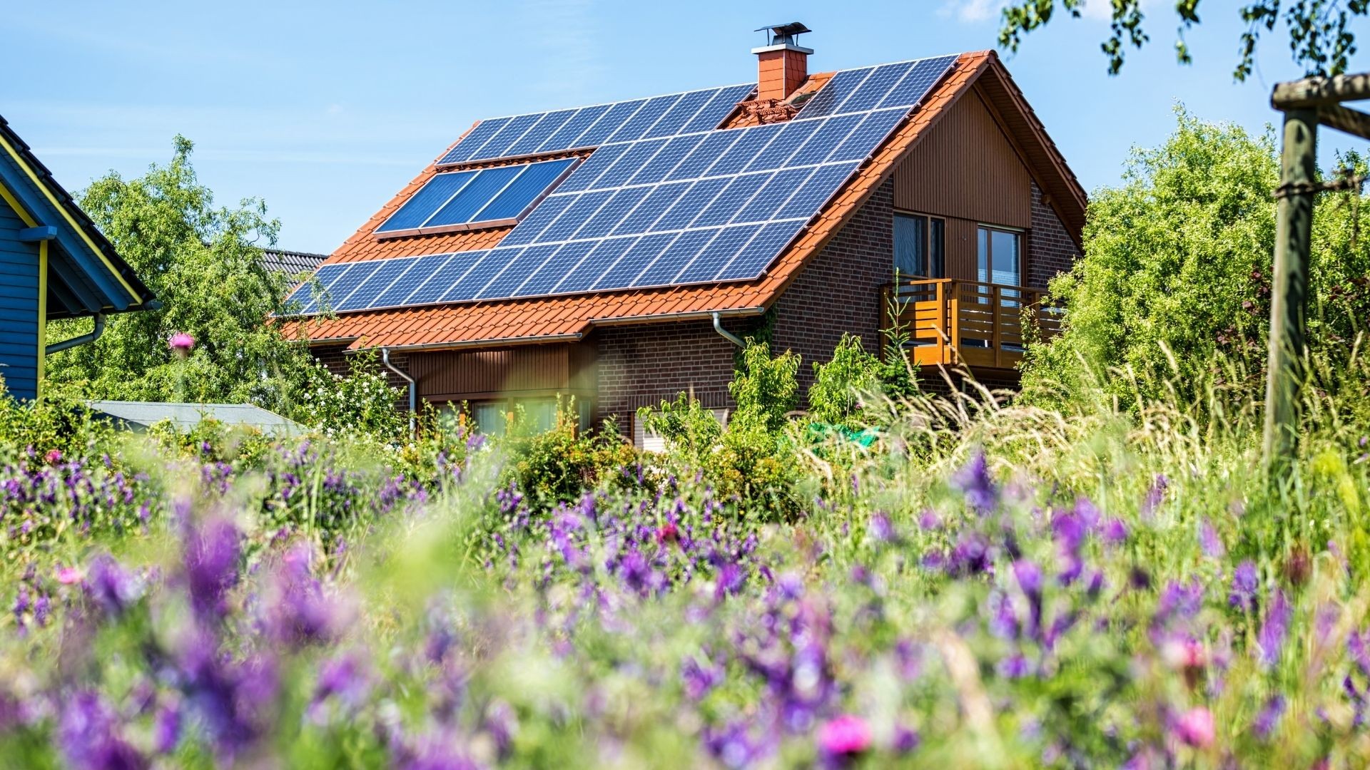 panneaux solaires agriculture