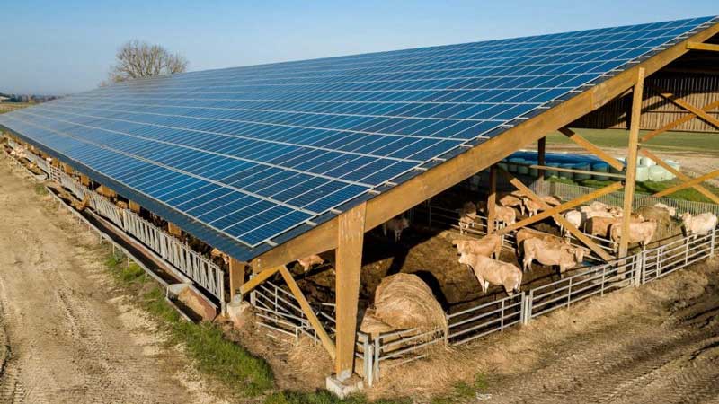 Panneaux solaires pays de la loire